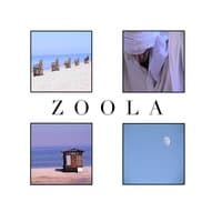 Zoola (Compiled by DJ Choopie)