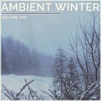 Ambient Winter, Vol. 1