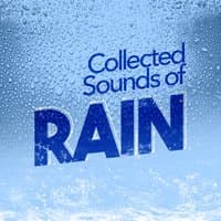 Collected Sounds of Rain