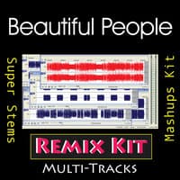 Beautiful People (Multi Tracks Tribute Chris Brown feat Benny Benassi)