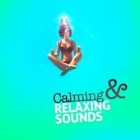 Calming & Relaxing Sounds