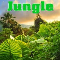 Jungle - Sounds of Nature