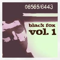 Black Fox, Vol. 1