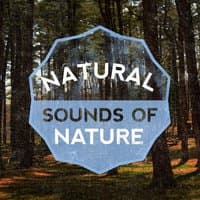 Natural Sounds of Nature