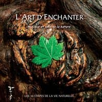 L'Art D'Enchanter