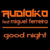 Good Night (feat. Miguel Ferreira)