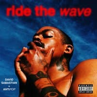 Ride the Wave