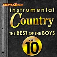 Instrumental Country: The Best of the Boys, Vol. 10