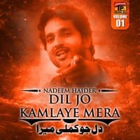 Dil Jo Kamlaye Mera, Vol. 1