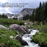 Sound of Streams