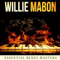 Essential Blues Masters