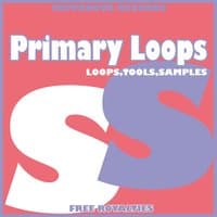 Primary Loops