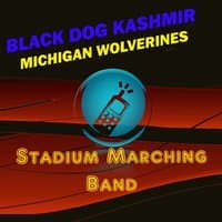 Black Dog Kashmir