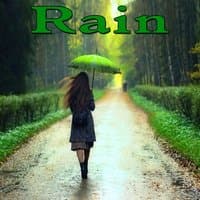 Rain - Sounds of Nature