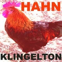 Hahn Klingelton