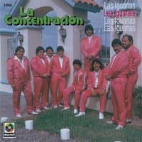 La Concentracion