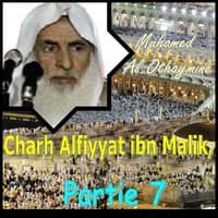 Charh Alfiyyat ibn Malik, Partie 7