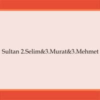 Sultan 2.Selim / 3.Murat / 3.Mehmet