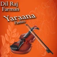 Yaraana, Vol. 5