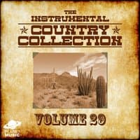 The Instrumental Country Collection, Vol. 29