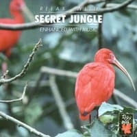 RELAX WITH... SECRET JUNGLE