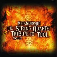 Metamorphic - The String Quartet Tribute To Tool,Vol. 2