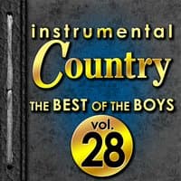 Instrumental Country: The Best of the Boys, Vol. 28