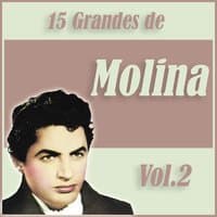 15 Grandes Exitos de Antonio Molina Vol. 2