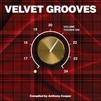 Velvet Grooves Volume 21 Toozen On!