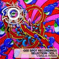 Gee Spot Recordings Selection, Vol. 1