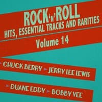 Rock 'N' Roll Hits, Essential Tracks and Rarities, Vol. 14