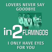 in2The Flamingos - Volume 1