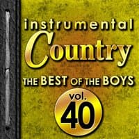 Instrumental Country: The Best of the Boys, Vol. 40