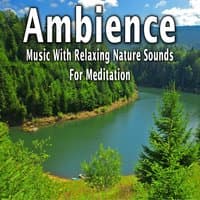 Ambience: Music with Relaxing Nature Sounds for Meditation