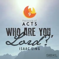 The Book of Acts: Who Are You Lord?