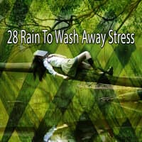 28 Rain to Wash Away Stress