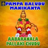 Aabaranala Pallaki Chudu