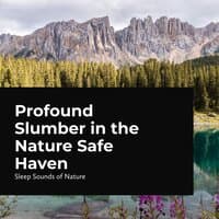 Profound Slumber in the Nature Safe Haven