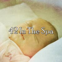 42 In the Spa