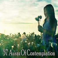 57 Auras of Contemplation