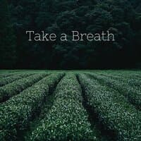 Take a Breath