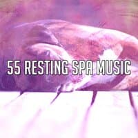 55 Resting Spa Music