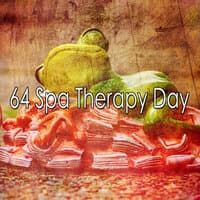 64 Spa Therapy Day