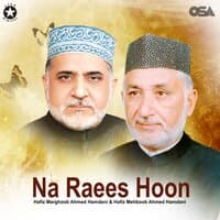 Na Raees Hoon