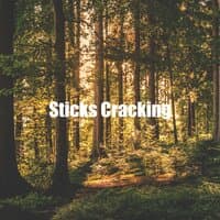 Sticks Cracking