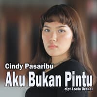 Aku Bukan Pintu