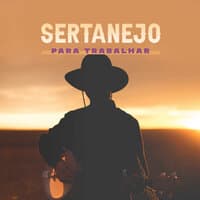 Sertanejo Para Trabalhar