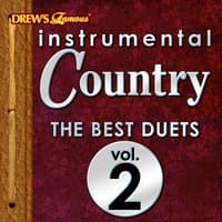 Instrumental Country: The Best Duets, Vol. 2