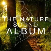 The Nature Sound Album