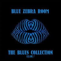 Blue Zebra Room: The Blues Collection, Vol. 7